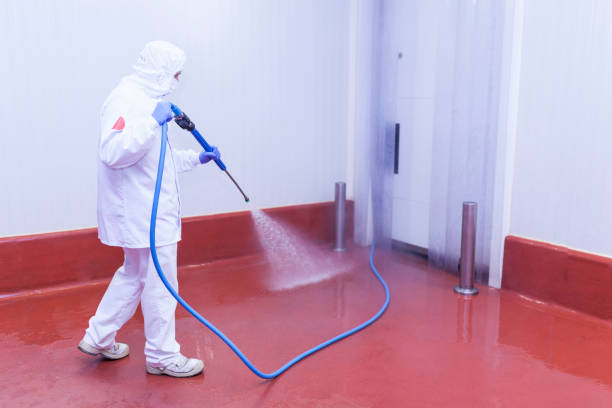 Playground Equipment Cleaning in Marina Del Rey, CA